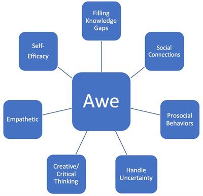 NASA resilience and leadership: examining the phenomenon of awe